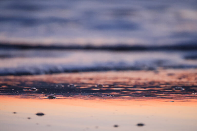 vagabunda© Gigaro sunset triptic-1